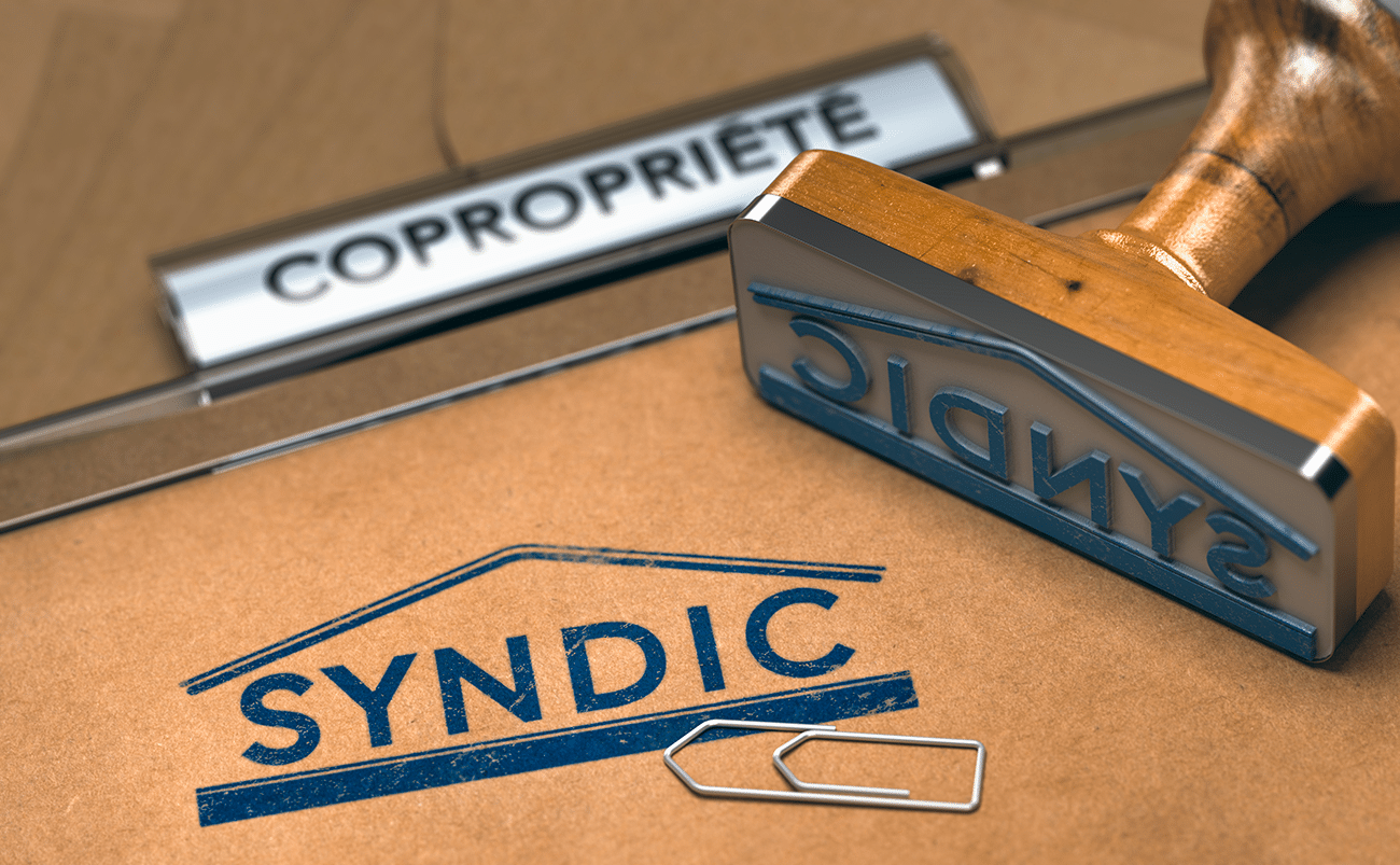 syndic