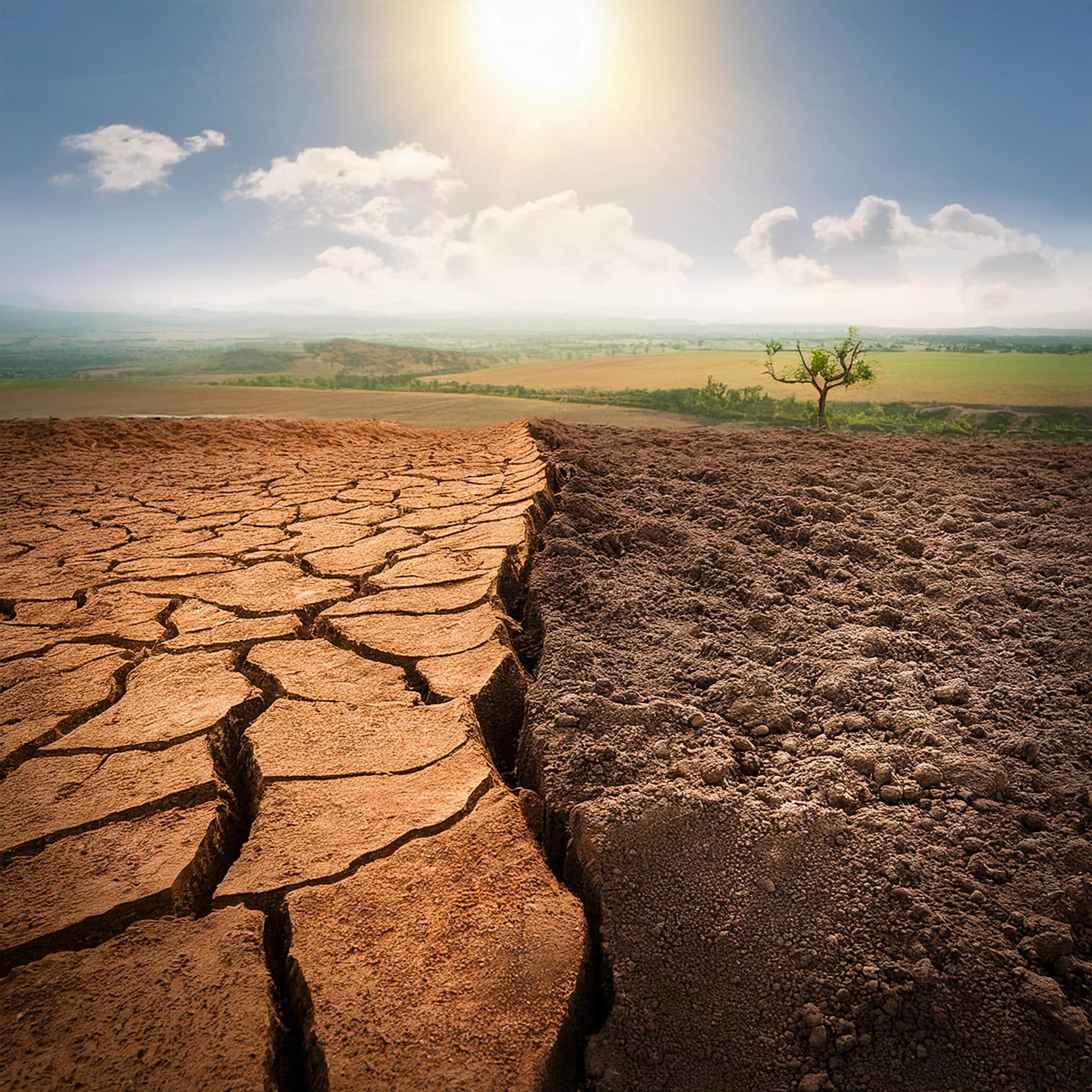 Etat De Phase Sol Argileux